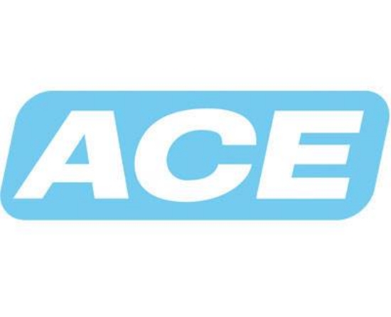 تصویر ACE Industriestossdämpfer